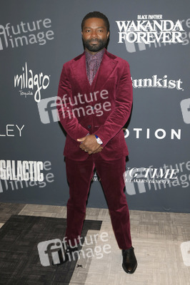 Celebration of Black Cinema & Television 2022 in Los Angeles