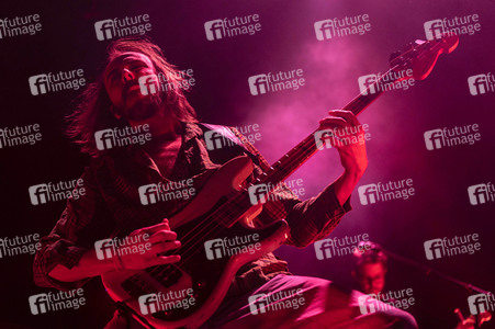 Konzert von Wanda in Erfurt