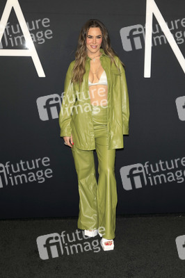 Filmpremiere 'M3gan' in Los Angeles