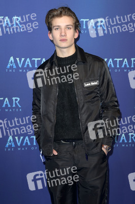 Filmpremiere 'Avatar: The Way of Water' in Berlin