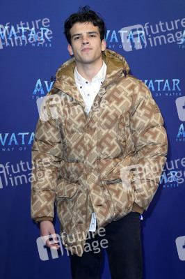 Filmpremiere 'Avatar: The Way of Water' in Berlin