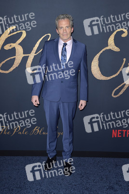 Filmpremiere 'Der denkwürdige Fall des Mr Poe' in Los Angeles