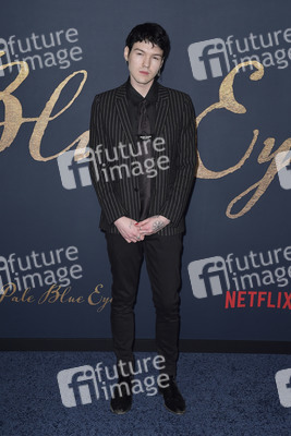 Filmpremiere 'Der denkwürdige Fall des Mr Poe' in Los Angeles