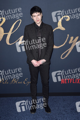 Filmpremiere 'Der denkwürdige Fall des Mr Poe' in Los Angeles