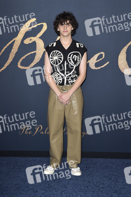 Filmpremiere 'Der denkwürdige Fall des Mr Poe' in Los Angeles