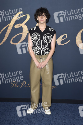 Filmpremiere 'Der denkwürdige Fall des Mr Poe' in Los Angeles