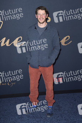 Filmpremiere 'Der denkwürdige Fall des Mr Poe' in Los Angeles