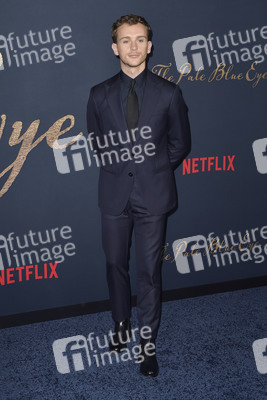 Filmpremiere 'Der denkwürdige Fall des Mr Poe' in Los Angeles