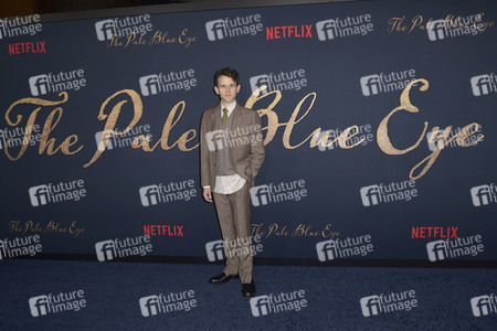 Filmpremiere 'Der denkwürdige Fall des Mr Poe' in Los Angeles