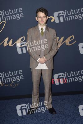 Filmpremiere 'Der denkwürdige Fall des Mr Poe' in Los Angeles