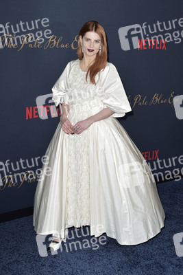 Filmpremiere 'Der denkwürdige Fall des Mr Poe' in Los Angeles