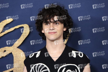 Filmpremiere 'Der denkwürdige Fall des Mr Poe' in Los Angeles