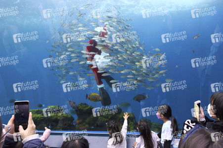 Unterwasser-Weihnachtsmann in Yokohama