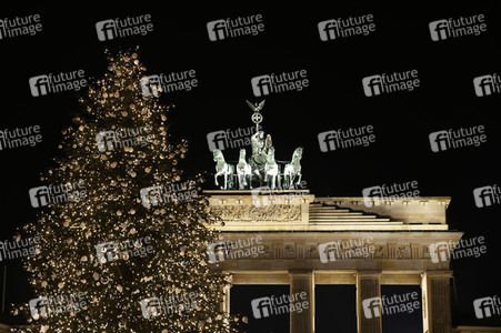 Weihnachtsbaum in Berlin