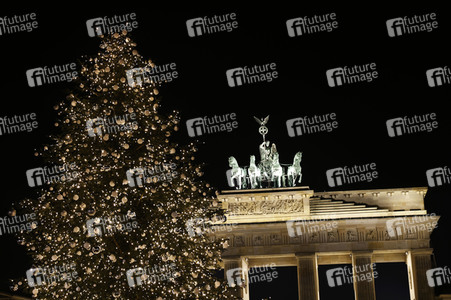Weihnachtsbaum in Berlin