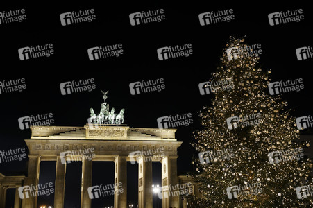 Weihnachtsbaum in Berlin