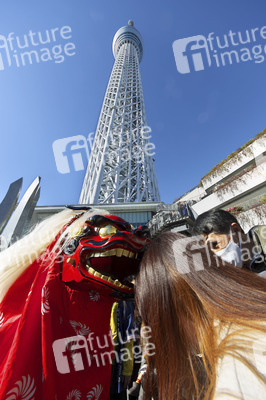 Neujahrstag in Tokio