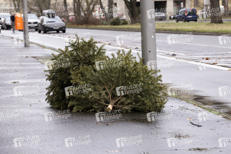 Weihnachtsbaumabholung in Berlin