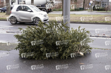 Weihnachtsbaumabholung in Berlin