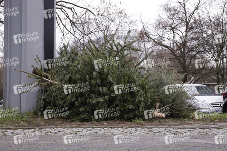Weihnachtsbaumabholung in Berlin
