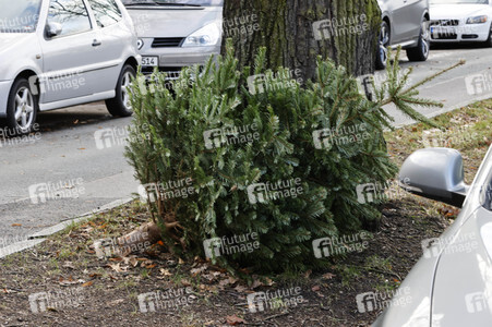 Weihnachtsbaumabholung in Berlin