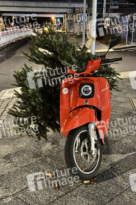 Weihnachtsbaumabholung in Berlin