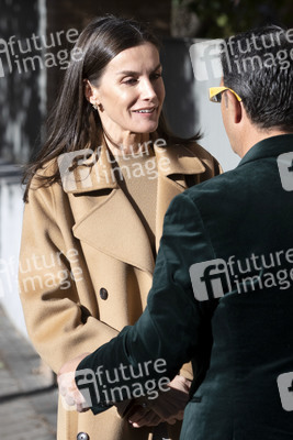 Königin Letizia besucht eine Sitzung der FEDER in Madrid