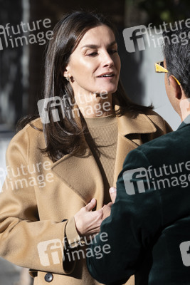 Königin Letizia besucht eine Sitzung der FEDER in Madrid