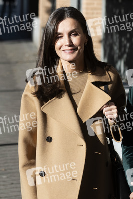 Königin Letizia besucht eine Sitzung der FEDER in Madrid