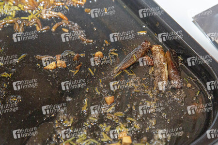 Symbolfoto Speiseinsekten