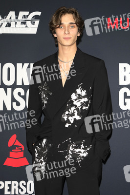 MusiCares Person of the Year Gala 2023 im Los Angeles