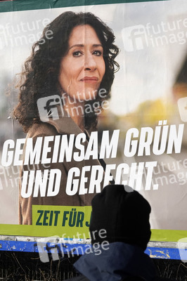 Wahlplakate zur Wiederholungswahl in Berlin