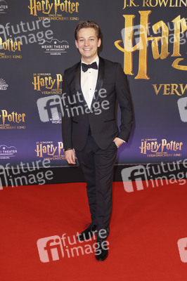 Theaterpremiere 'Harry Potter und das verwunschene Kind' in Hamburg