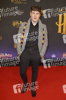 Theaterpremiere 'Harry Potter und das verwunschene Kind' in Hamburg