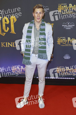 Theaterpremiere 'Harry Potter und das verwunschene Kind' in Hamburg