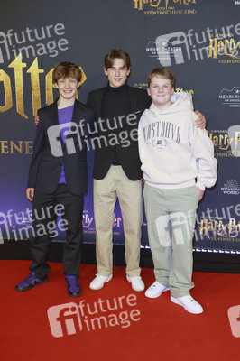 Theaterpremiere 'Harry Potter und das verwunschene Kind' in Hamburg