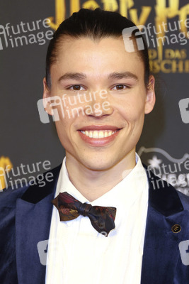 Theaterpremiere 'Harry Potter und das verwunschene Kind' in Hamburg