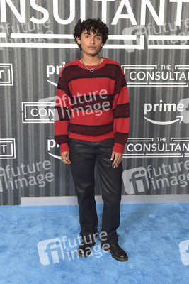 Serienpremiere 'The Consultant' in Los Angeles