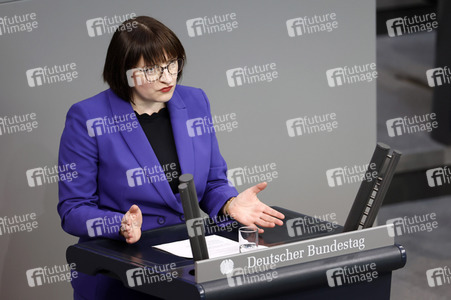 88. Sitzung des Deutschen Bundestages in Berlin