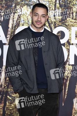 Filmpremiere 'A Good Person' in London
