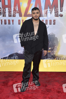 Filmpremiere 'Shazam! Fury of the Gods' in Los Angeles