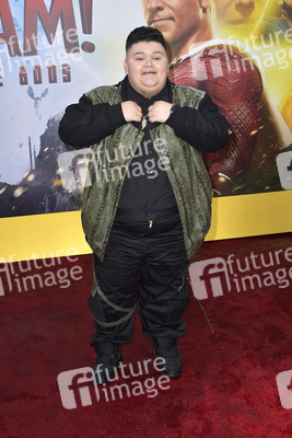 Filmpremiere 'Shazam! Fury of the Gods' in Los Angeles