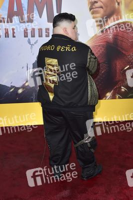 Filmpremiere 'Shazam! Fury of the Gods' in Los Angeles