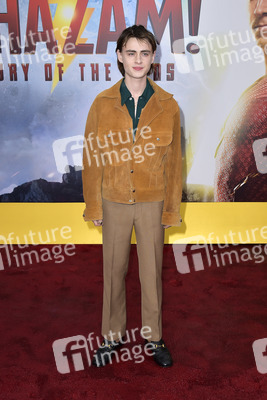Filmpremiere 'Shazam! Fury of the Gods' in Los Angeles