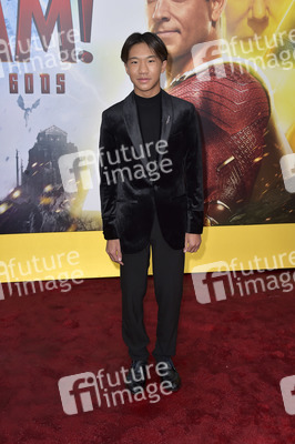 Filmpremiere 'Shazam! Fury of the Gods' in Los Angeles