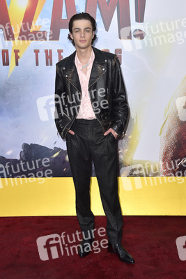 Filmpremiere 'Shazam! Fury of the Gods' in Los Angeles