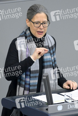 91. Sitzung des Deutschen Bundestages in Berlin