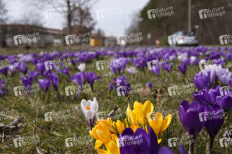 Frühling in Berlin