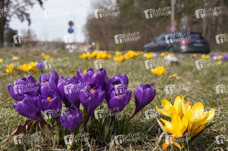 Frühling in Berlin
