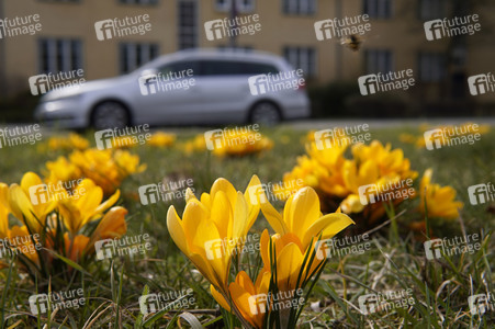 Frühling in Berlin
